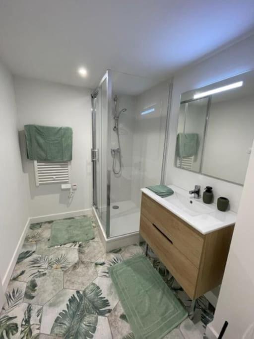 Apartment Dans Les Nuages - T2 Spacieux Standing - Metro - Wifi Toulouse